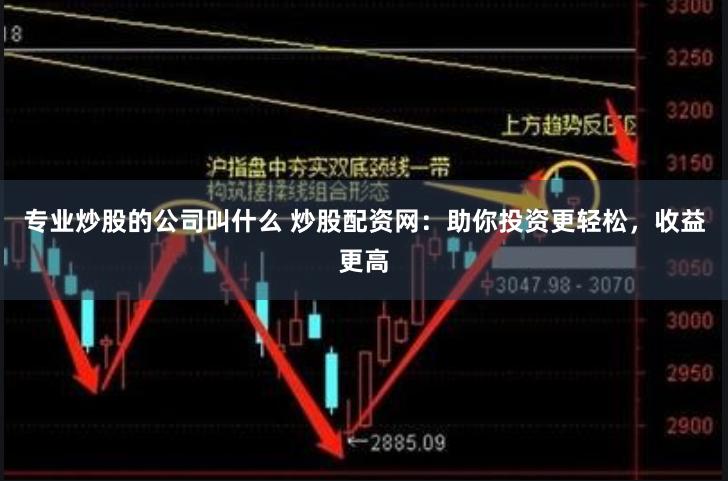 专业炒股的公司叫什么 炒股配资网：助你投资更轻松，收益更高